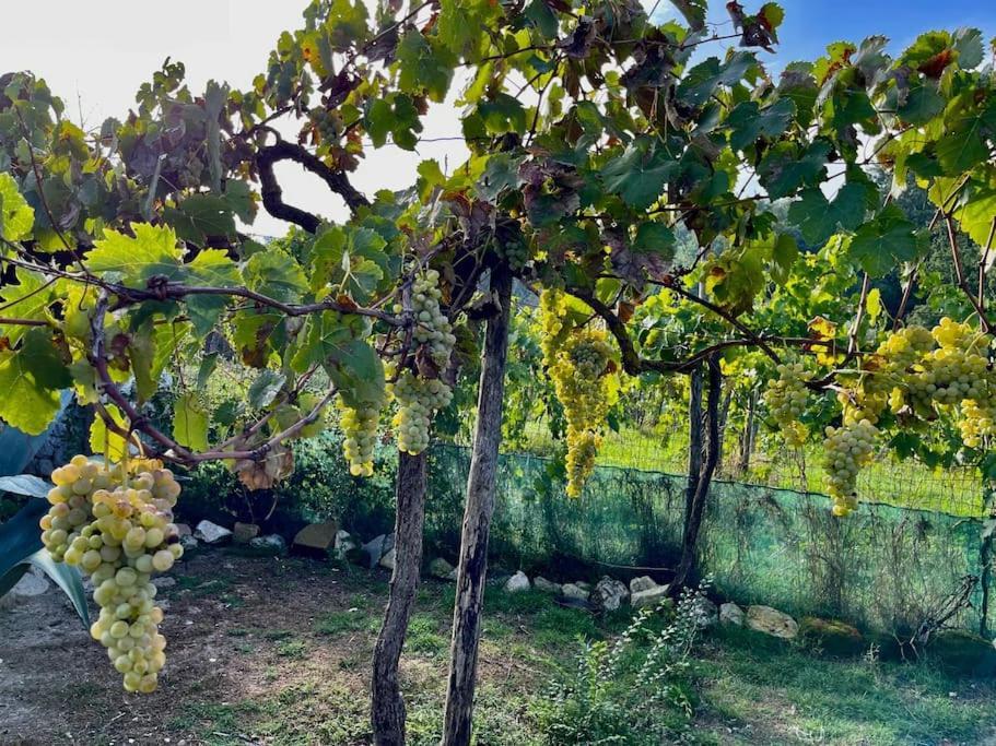 Villa De Luccheri Frasso Telesino Zewnętrze zdjęcie