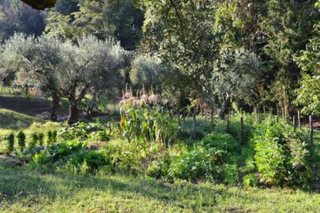 Villa De Luccheri Frasso Telesino Zewnętrze zdjęcie