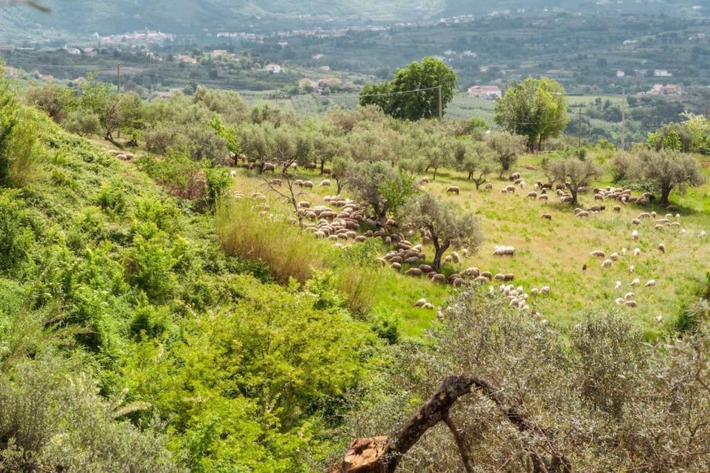 Villa De Luccheri Frasso Telesino Zewnętrze zdjęcie