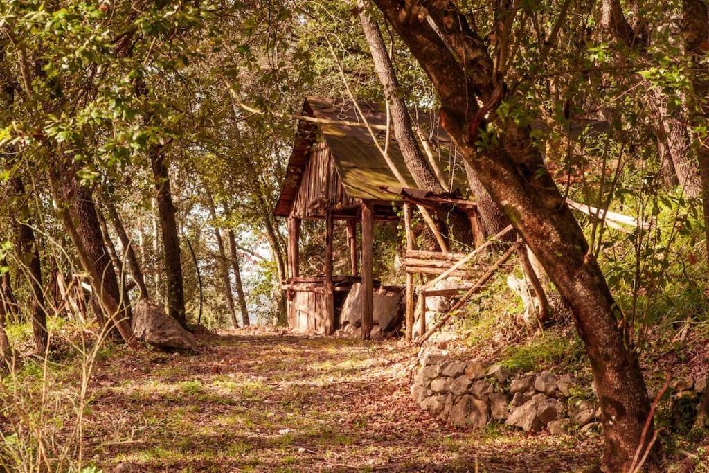 Villa De Luccheri Frasso Telesino Zewnętrze zdjęcie