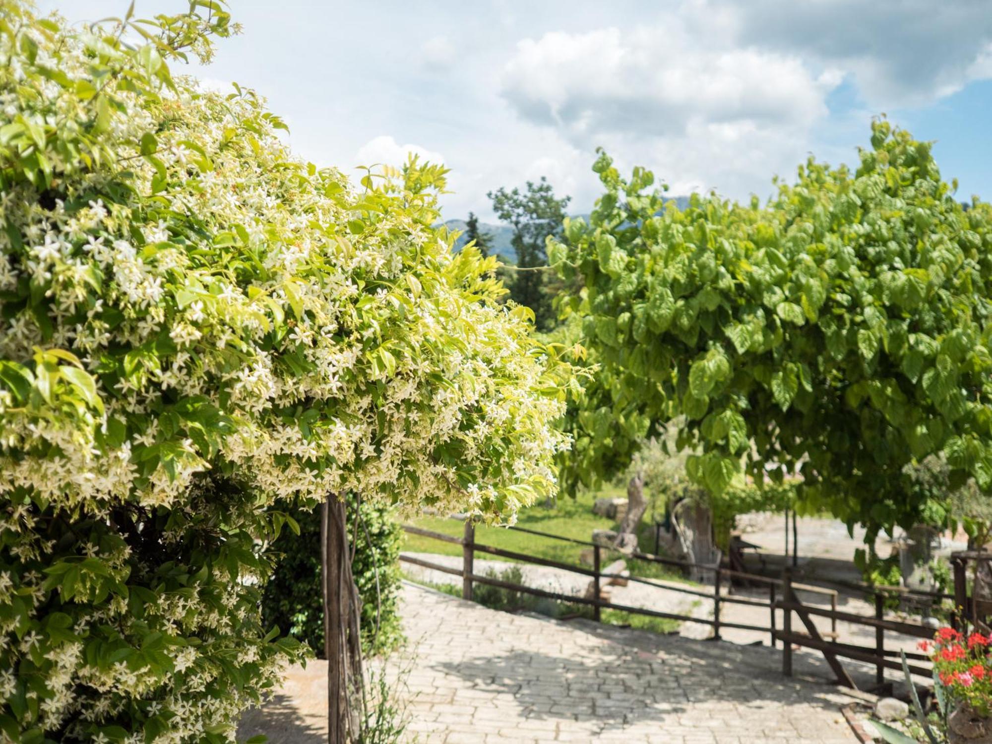 Villa De Luccheri Frasso Telesino Zewnętrze zdjęcie